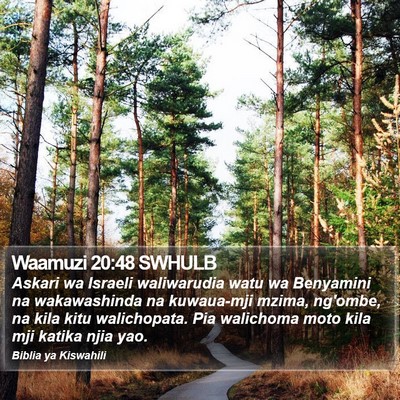 Waamuzi 20:48 SWHULB Bible Verse Image