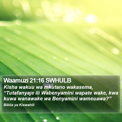 Waamuzi 21:16 SWHULB Bible Verse Image