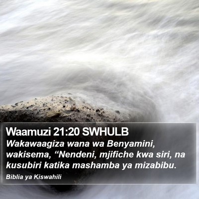 Waamuzi 21:20 SWHULB Bible Verse Image