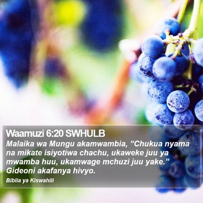 Waamuzi 6:20 SWHULB Bible Verse Image