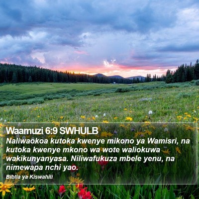 Waamuzi 6:9 SWHULB Bible Verse Image