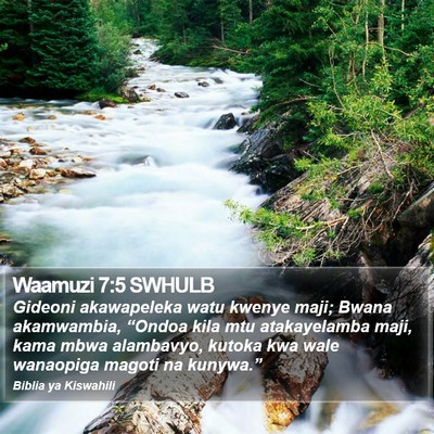Waamuzi 7:5 SWHULB Bible Verse Image