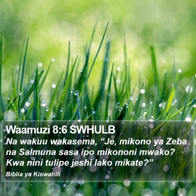 Waamuzi 8:6 SWHULB Bible Verse Image