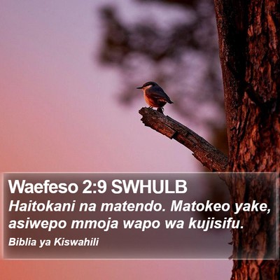 Waefeso 2:9 SWHULB Bible Verse Image