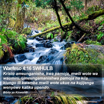 Waefeso 4:16 SWHULB Bible Verse Image
