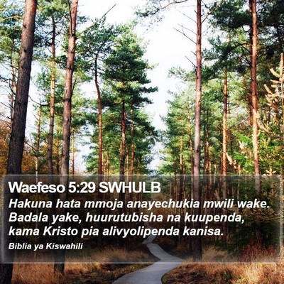 Waefeso 5:29 SWHULB Bible Verse Image