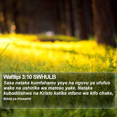 Wafilipi 3:10 SWHULB Bible Verse Image