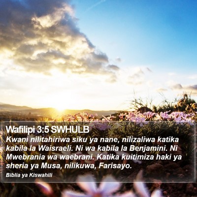 Wafilipi 3:5 SWHULB Bible Verse Image