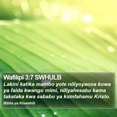 Wafilipi 3:7 SWHULB Bible Verse Image