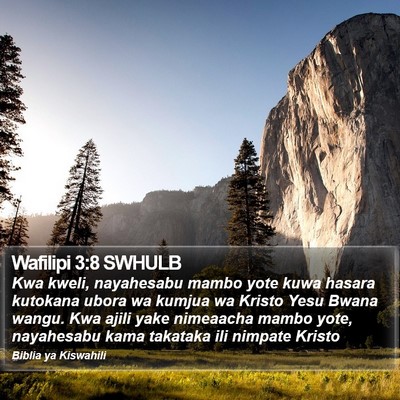 Wafilipi 3:8 SWHULB Bible Verse Image