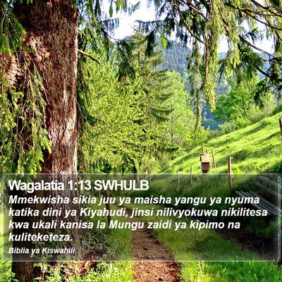 Wagalatia 1:13 SWHULB Bible Verse Image
