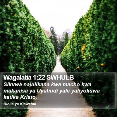 Wagalatia 1:22 SWHULB Bible Verse Image