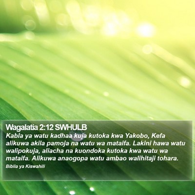 Wagalatia 2:12 SWHULB Bible Verse Image