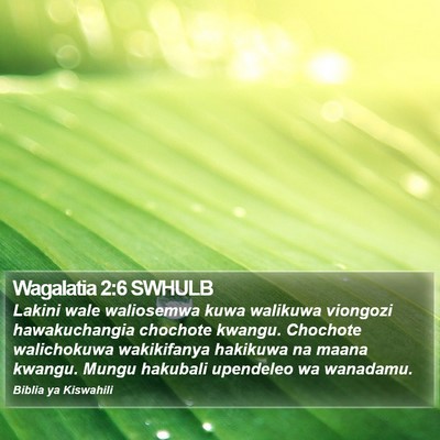 Wagalatia 2:6 SWHULB Bible Verse Image