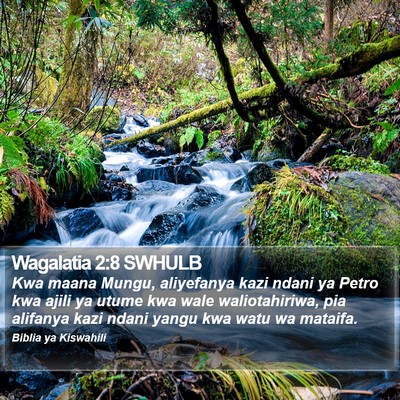 Wagalatia 2:8 SWHULB Bible Verse Image