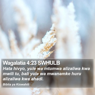 Wagalatia 4:23 SWHULB Bible Verse Image