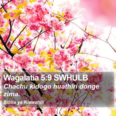 Wagalatia 5:9 SWHULB Bible Verse Image