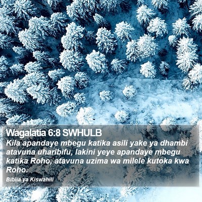 Wagalatia 6:8 SWHULB Bible Verse Image