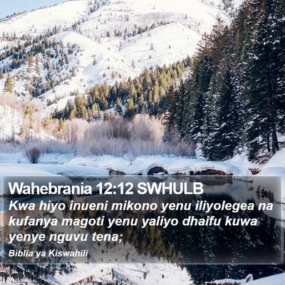 Wahebrania 12:12 SWHULB Bible Verse Image