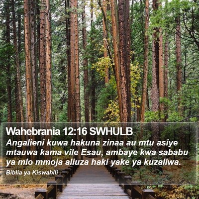 Wahebrania 12:16 SWHULB Bible Verse Image