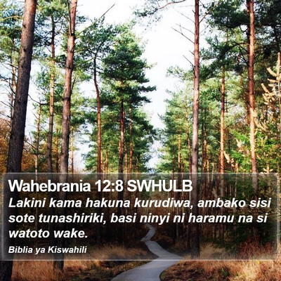 Wahebrania 12:8 SWHULB Bible Verse Image