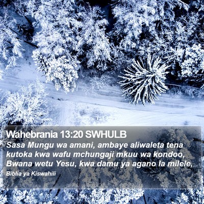 Wahebrania 13:20 SWHULB Bible Verse Image