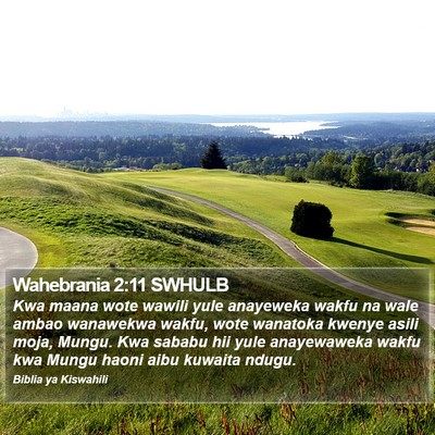 Wahebrania 2:11 SWHULB Bible Verse Image