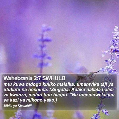 Wahebrania 2:7 SWHULB Bible Verse Image