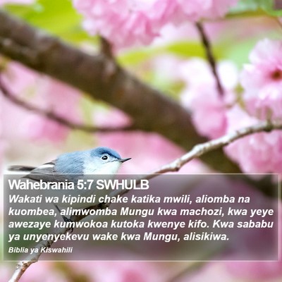 Wahebrania 5:7 SWHULB Bible Verse Image