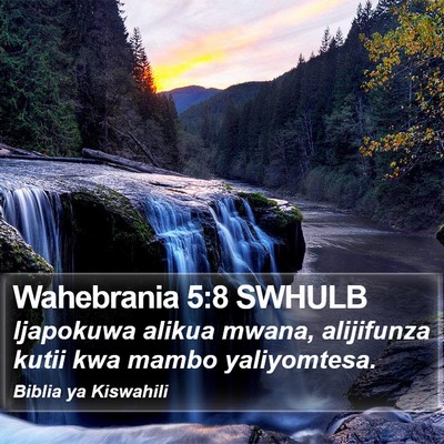 Wahebrania 5:8 SWHULB Bible Verse Image