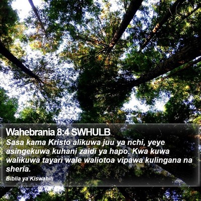 Wahebrania 8:4 SWHULB Bible Verse Image