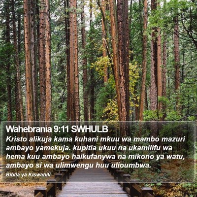 Wahebrania 9:11 SWHULB Bible Verse Image