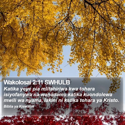 Wakolosai 2:11 SWHULB Bible Verse Image