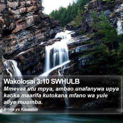 Wakolosai 3:10 SWHULB Bible Verse Image