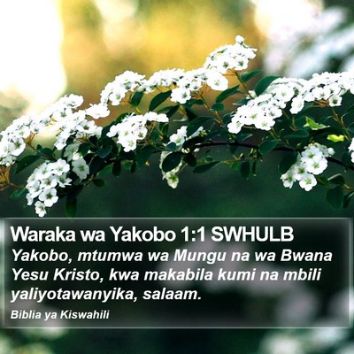 Waraka wa Yakobo 1:1 SWHULB Bible Verse Image