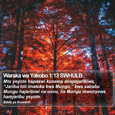Waraka wa Yakobo 1:13 SWHULB Bible Verse Image