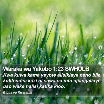 Waraka wa Yakobo 1:23 SWHULB Bible Verse Image