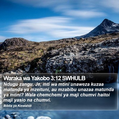 Waraka wa Yakobo 3:12 SWHULB Bible Verse Image