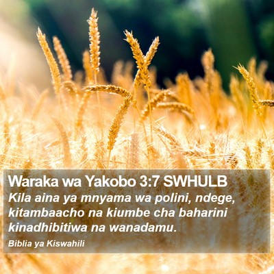Waraka wa Yakobo 3:7 SWHULB Bible Verse Image