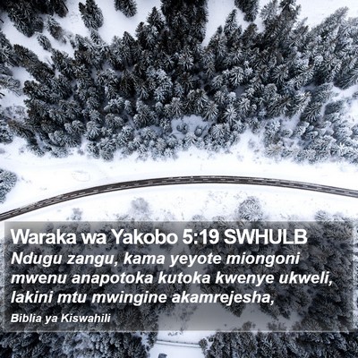 Waraka wa Yakobo 5:19 SWHULB Bible Verse Image