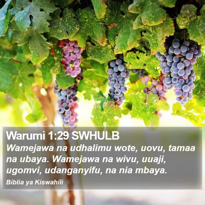 Warumi 1:29 SWHULB Bible Verse Image