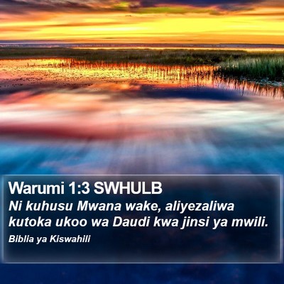 Warumi 1:3 SWHULB Bible Verse Image