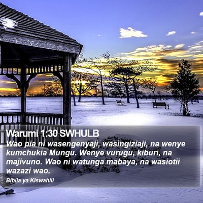 Warumi 1:30 SWHULB Bible Verse Image