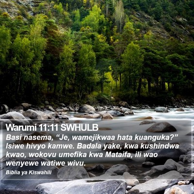 Warumi 11:11 SWHULB Bible Verse Image