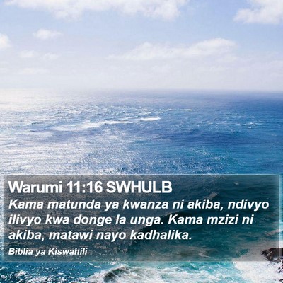 Warumi 11:16 SWHULB Bible Verse Image