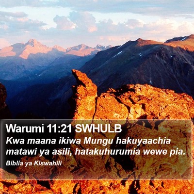 Warumi 11:21 SWHULB Bible Verse Image