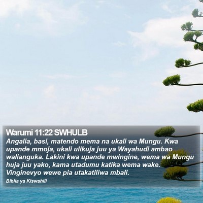 Warumi 11:22 SWHULB Bible Verse Image