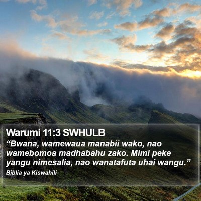 Warumi 11:3 SWHULB Bible Verse Image