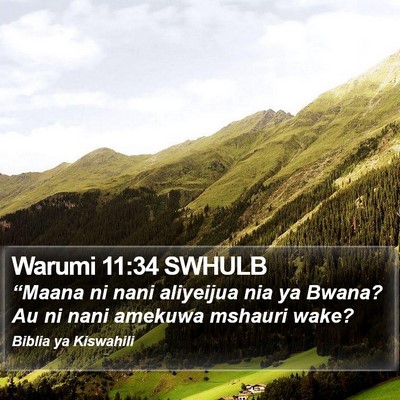 Warumi 11:34 SWHULB Bible Verse Image