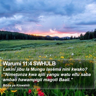 Warumi 11:4 SWHULB Bible Verse Image
